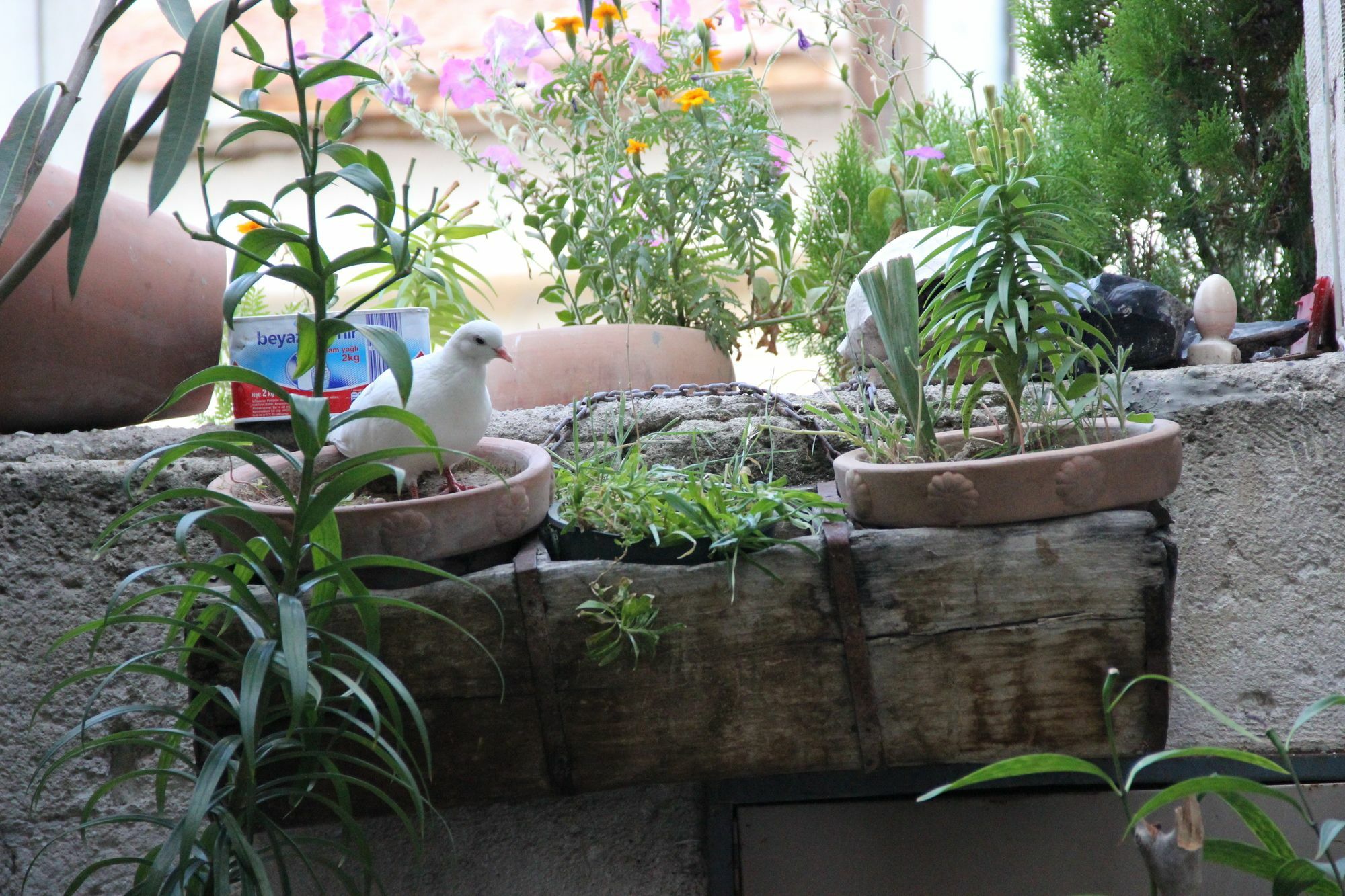 Kismet Cave House Hotel Goreme Bagian luar foto